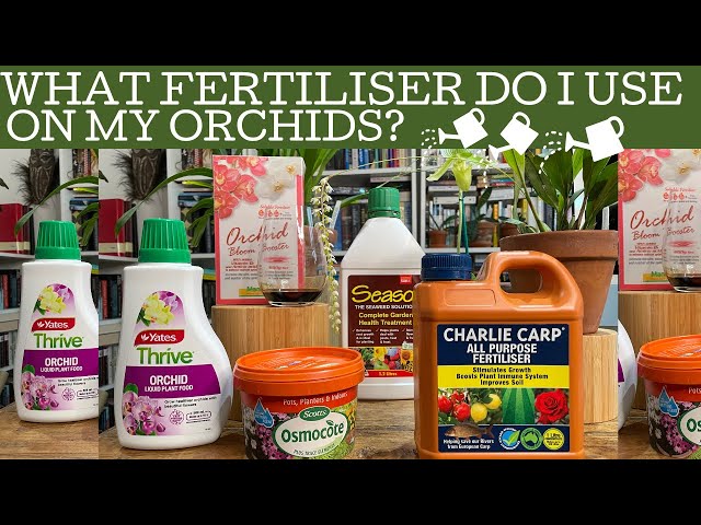What fertilisers do I use on my orchids? When do I fertiliser my orchids and how much do I use?