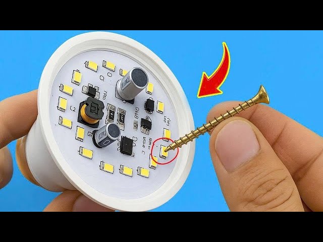 Put a Screw in an Old Light Bulb — The Result Is Incredible!