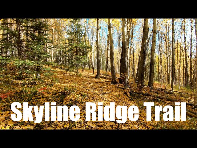 Skyline Ridge Trail AK Virtual Run