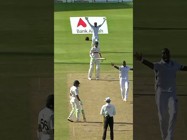 Big Swing 🪃 But Is This Out?