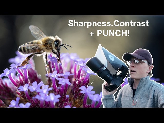 The Secret to Sharper Macro Photos?