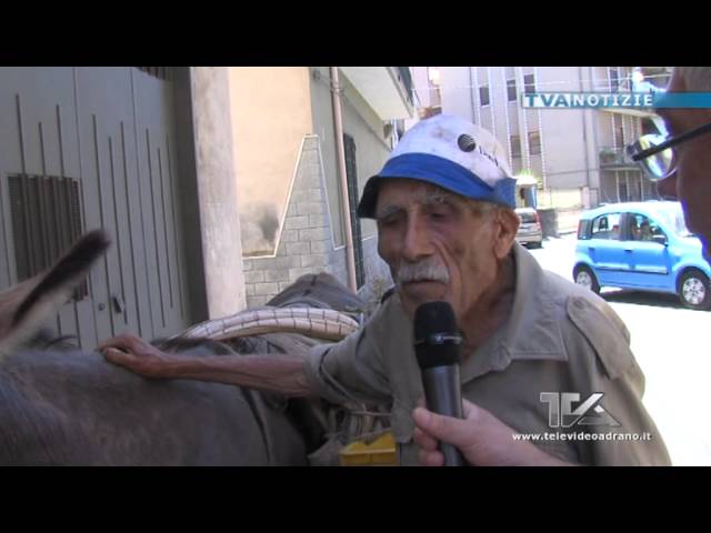 The Man and His Donkey
