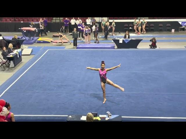 Floor Routine - Level 9 Westerns 9.575