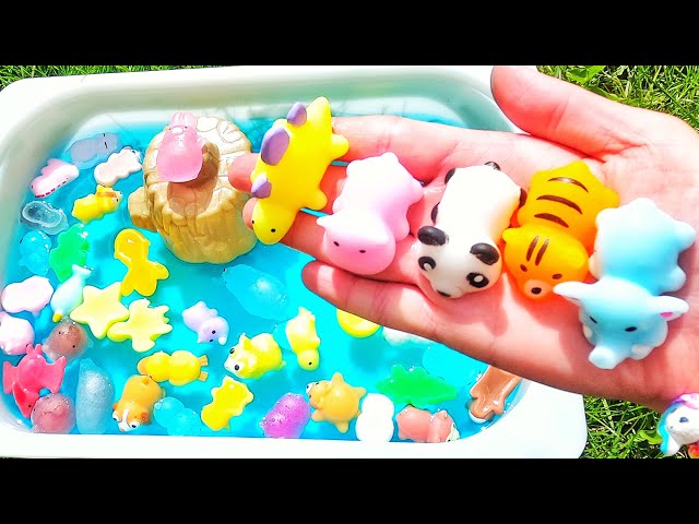 Learn animal names & facts for babies, toddlers, preschoolers, kids with squishies