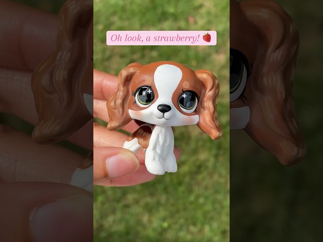 An accurate description of the artistic process 🍓 #lps #lpscustom #littlestpetshop #lpscollection