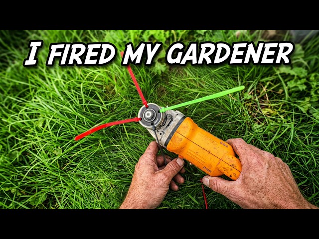 Super Amazing Tips Taught To Me By The Pros