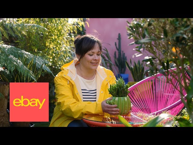 eBay | Make your garden spectacular