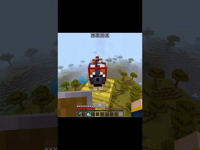 Always Help a dog in Need...🥺#minecraft #shorts