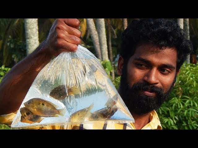 ഞാൻ കണ്ടുപിടിച്ച മീൻപിടുത്തം |Home Made Fishing Trap|