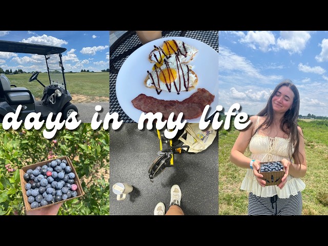 DAYS IN MY LIFE 🌟 🫐 : Virginia Beach , berry picking , golf, family time & slow days