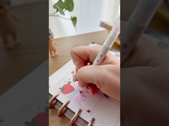 Daily Gratitude Journal