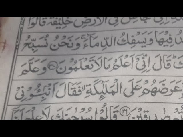 Al Quran recitation ♥️ ♥️