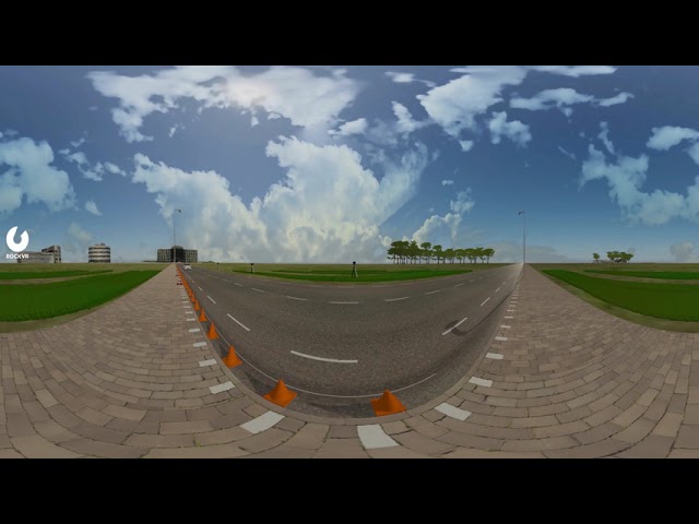 Distance and speed estimation task in animated VR environment