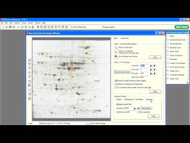 PDQuest™ Software Tutorials — Optimize Spot Detection