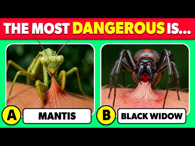 How Good Is Your Knowledge of ANIMALS? 🦗🕷️🤔 | Animals Knowledge Trivia Quiz