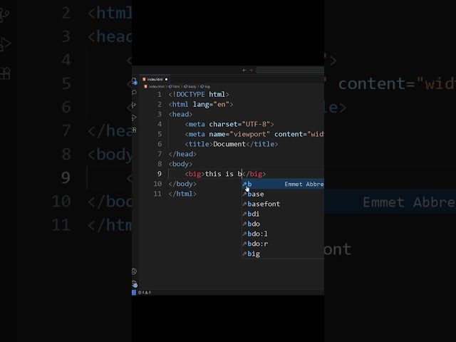 HTML Tags Tutorial – How to Use big and samp (With Examples)