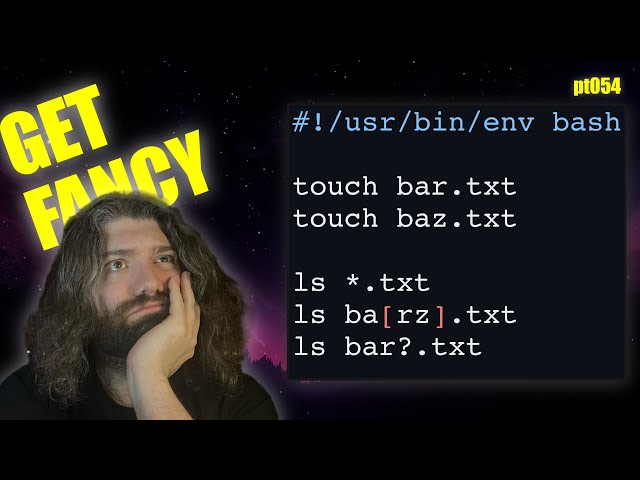 Bash Globbing Basics! How to use wildcards on the shell - You Suck at Programming #054