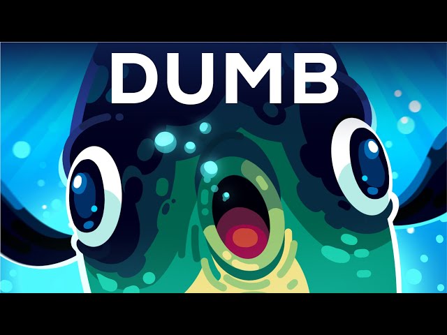 The Dumbest Animal Alive