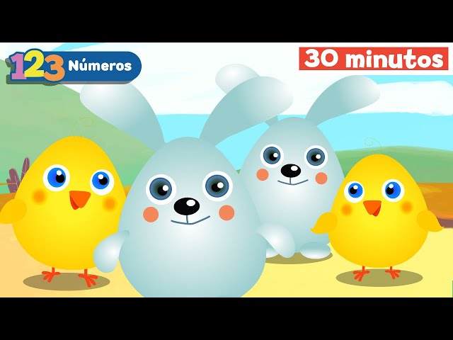 Viajando por el mundo con los números | aprender numeros | contando animales |Mi Primera Universidad