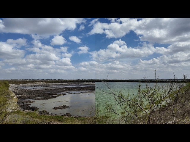 This Sewage Dump Is Now One of America's Best Bird Sanctuaries