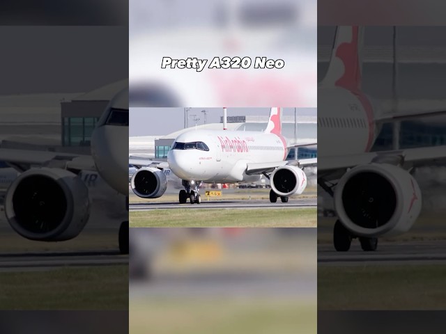 Pretty A320 Neo🤪 #shorts #aviation #airplane #plane #airbus #a320 #a320neo #airarabia #edit #fyp