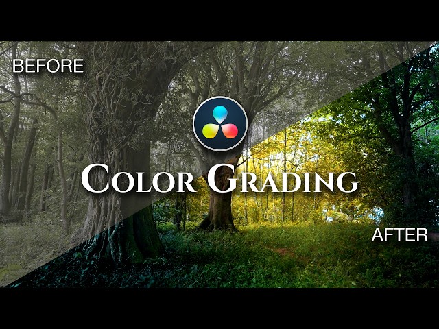 DaVinci Resolve Color Grading Tutorial | Cinematic Nature Look