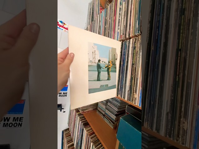 ROCK PROMO COLLECTION! 💥