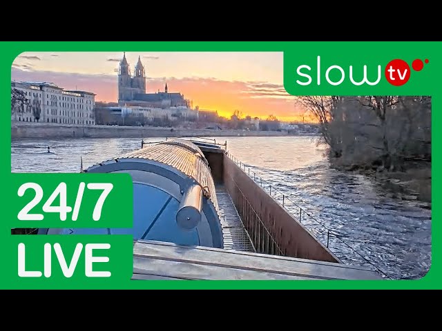 🟢 Premium Livestream: Rio Boat | 24/7 LIVE