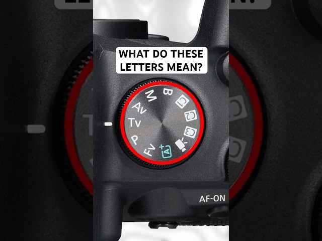 Camera Modes Explained for Beginners | M, Av, Tv, P & More