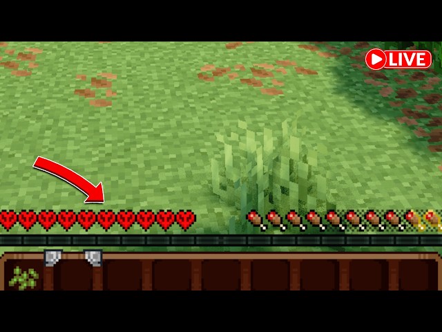 eternal world hardcore minecraft