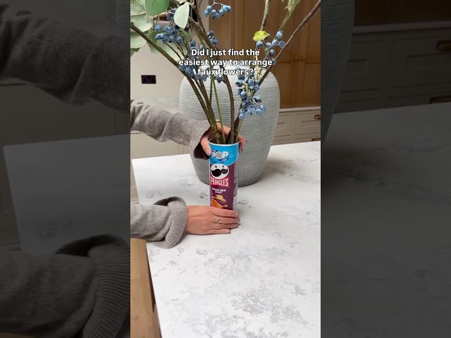 Faux Stems Pringle Can Hack πΊ