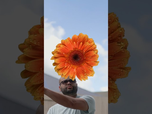 Building an Edit with Adobe Stock Assets!