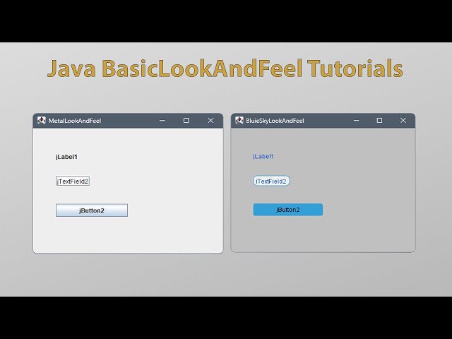 Customized Java LookAndFeel | Java BasicLookAndFeel | BlueSkyLookAndFeel Tutorial