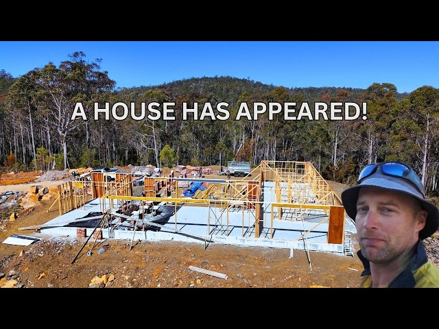 A House Has Appeared! Our Tasmanian OFF-GRID Dream Home! #offgrid #construction
