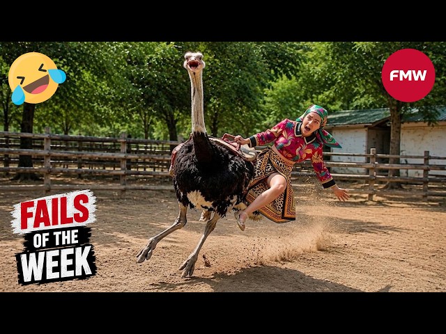 Try Not To Laugh Challenge 😂 99% Will Fail | Funny Videos Compilation 2026 #250
