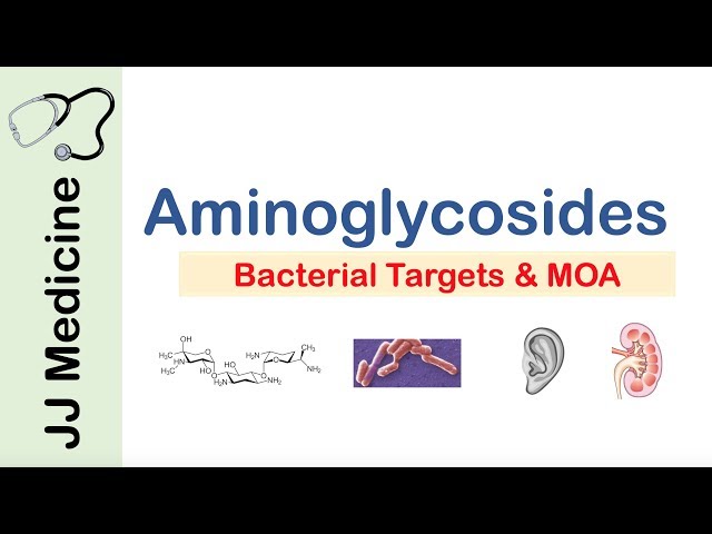 Aminoglycosides | Bacterial Targets, Mechanism of Action, Side Effects