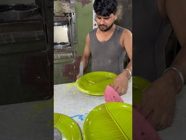Banana Leaf Melamine Plate Making