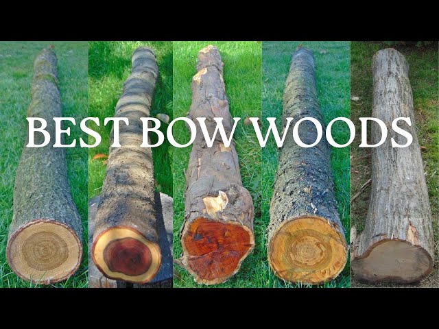 The Best Bow Wood After Building 100 Bows