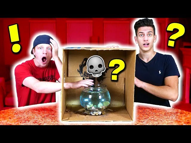 *EXTREME* WHAT'S IN THE BOX CHALLENGE! 💀 (With UNSPEAKABLE & MOOSECRAFT)