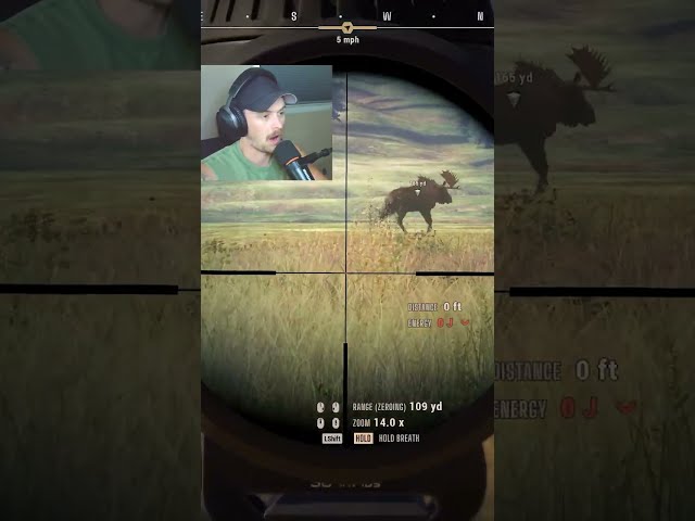 .243 Did Well Against This Moose! #wayofthehunter2
