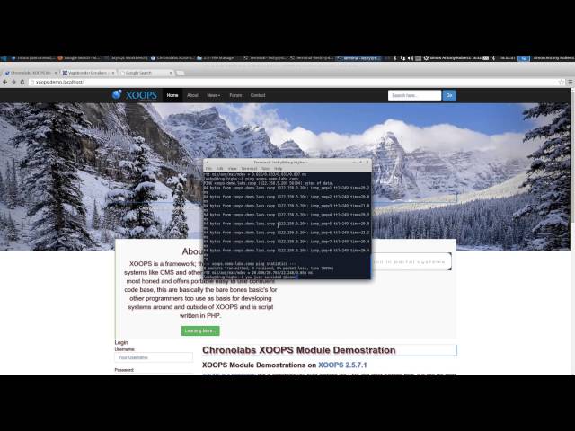xoops.demo.labs.coop --  upload response to next upload about suxited