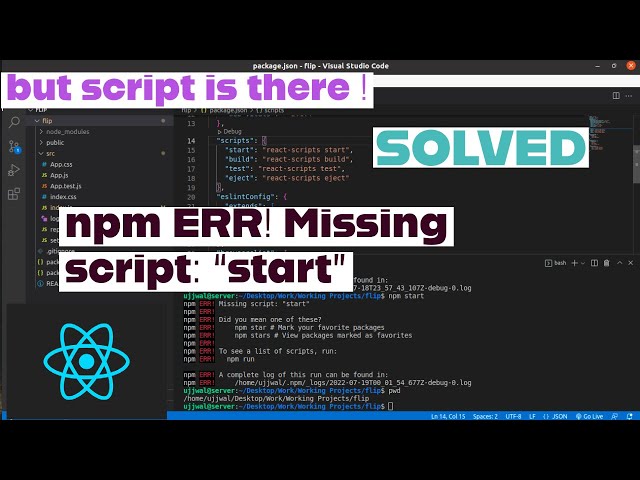 npm ERR! Missing script : "start" | but start script is present | SOLVED in React