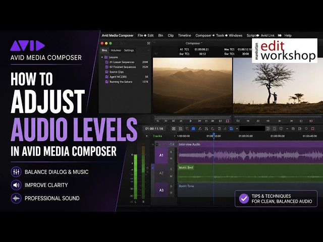 How to Adjust Audio Levels in Avid