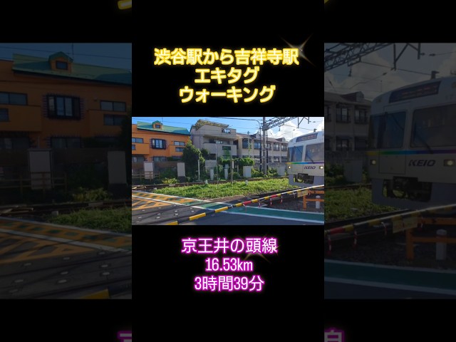 【エキタグウオーキング】京王井の頭線 渋谷駅から吉祥寺駅 16.53km #エキタグウォーキング