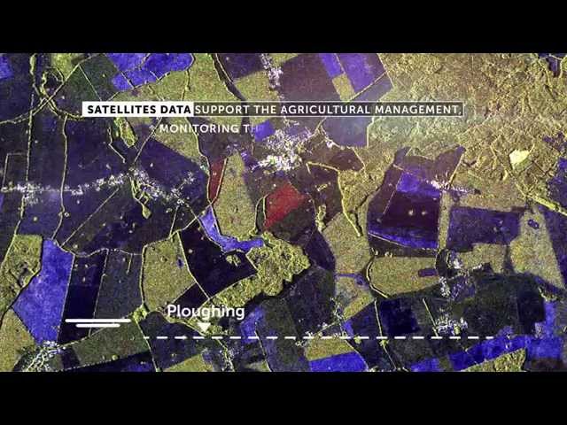 In Space, Serving Life on Earth: Cereals and Tubers