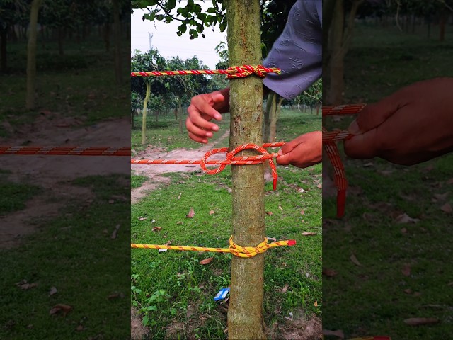 Popular Knot – Simple, Quick & Reliable!
