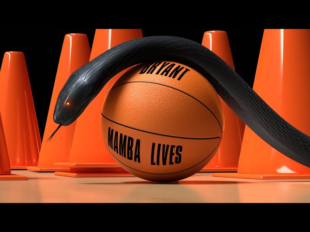 Black Mamba Lives | Remembering My Hero: Kobe Jellybean Bryant (Mama, there goes that man!)