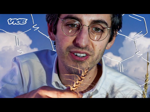 The Supercomputers Designing the Future of Psychedelic Science | VICE | Blueprint