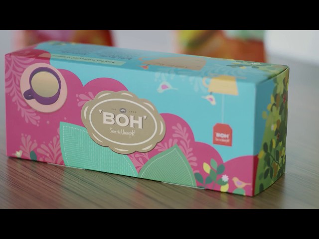 BOH Tea กับความสำเร็จทางธุรกิจด้วย Sage 300cloud