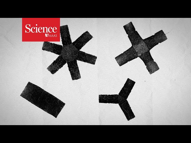 These origami robots could one day deliver drugs inside your body